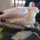 Image for article titled Oh God, It's a Whole Chicken in a Can